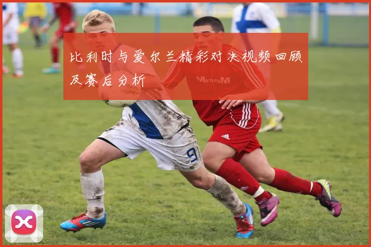 比利时与爱尔兰精彩对决视频回顾及赛后分析