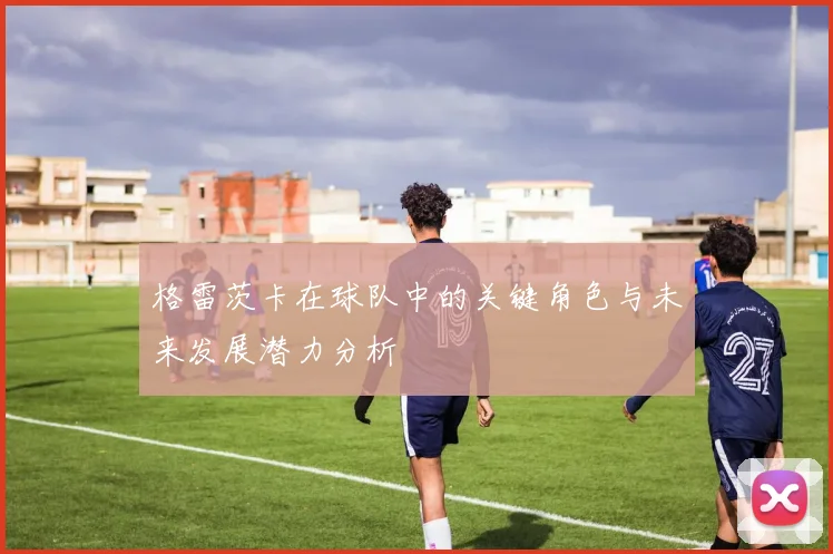 格雷茨卡在球队中的关键角色与未来发展潜力分析